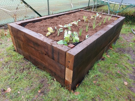 Aménagement, bac potager, kraainem