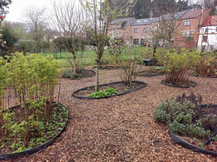 Aménagement, jardin naturel permaculture 3