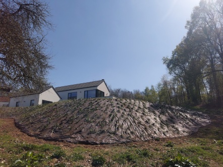Aménagement, plantation talus lasne