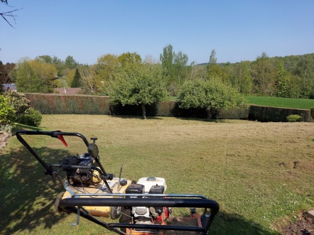 Entretien, scarification, rénovation pelouse