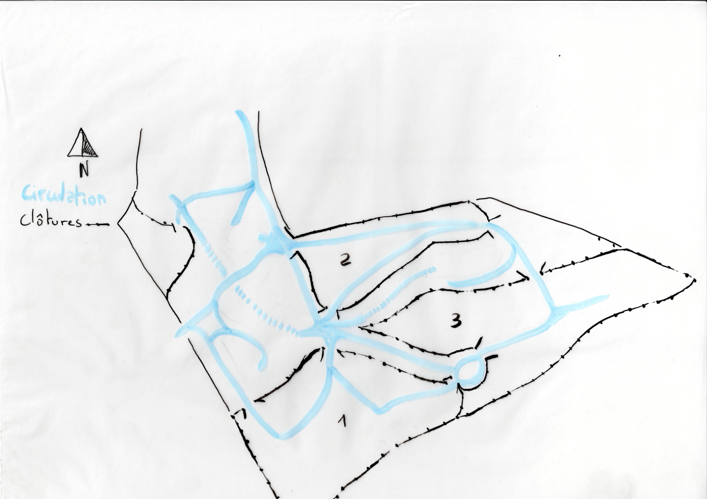 Design en permaculture, Plan chemins de circulation, Taviers_page-0001
