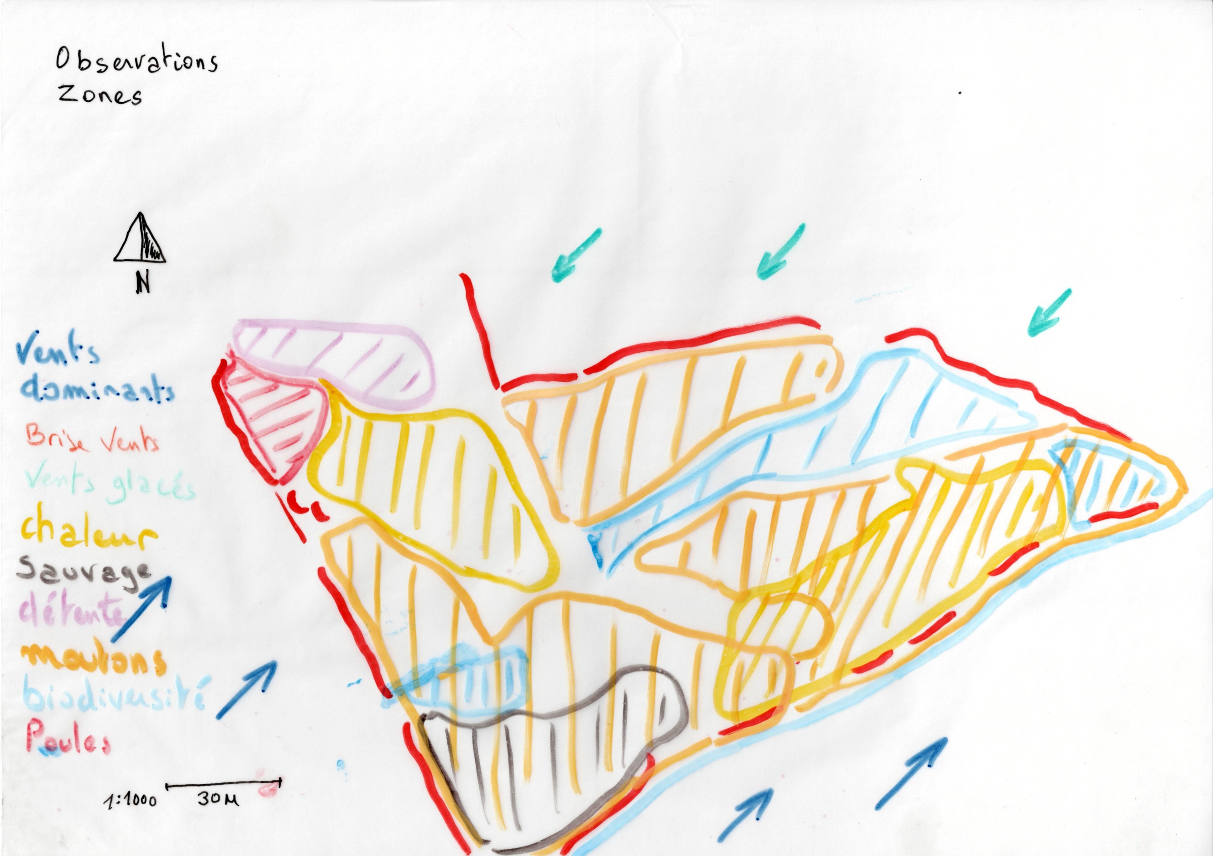 Design en permaculture, Plan observation zones, Taviers_page-0001